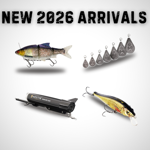New Arrivals 2026
