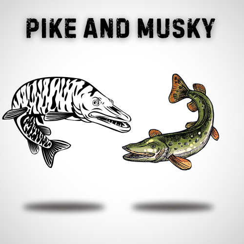 Pike and Musky - Rugged Tackle