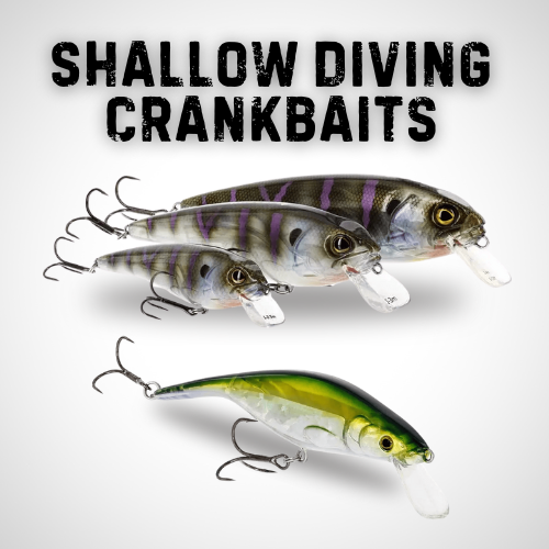 Shallow Diving Crankbaits Collection Rugged Tackle
