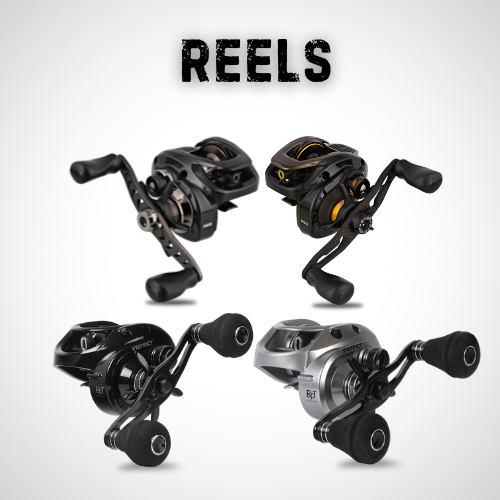 See our Reels Collection