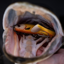 Customer Favorites' Rugged Tackle