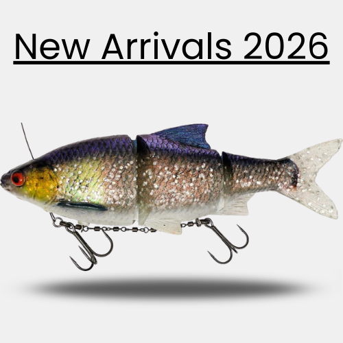 New Arrivals 2026