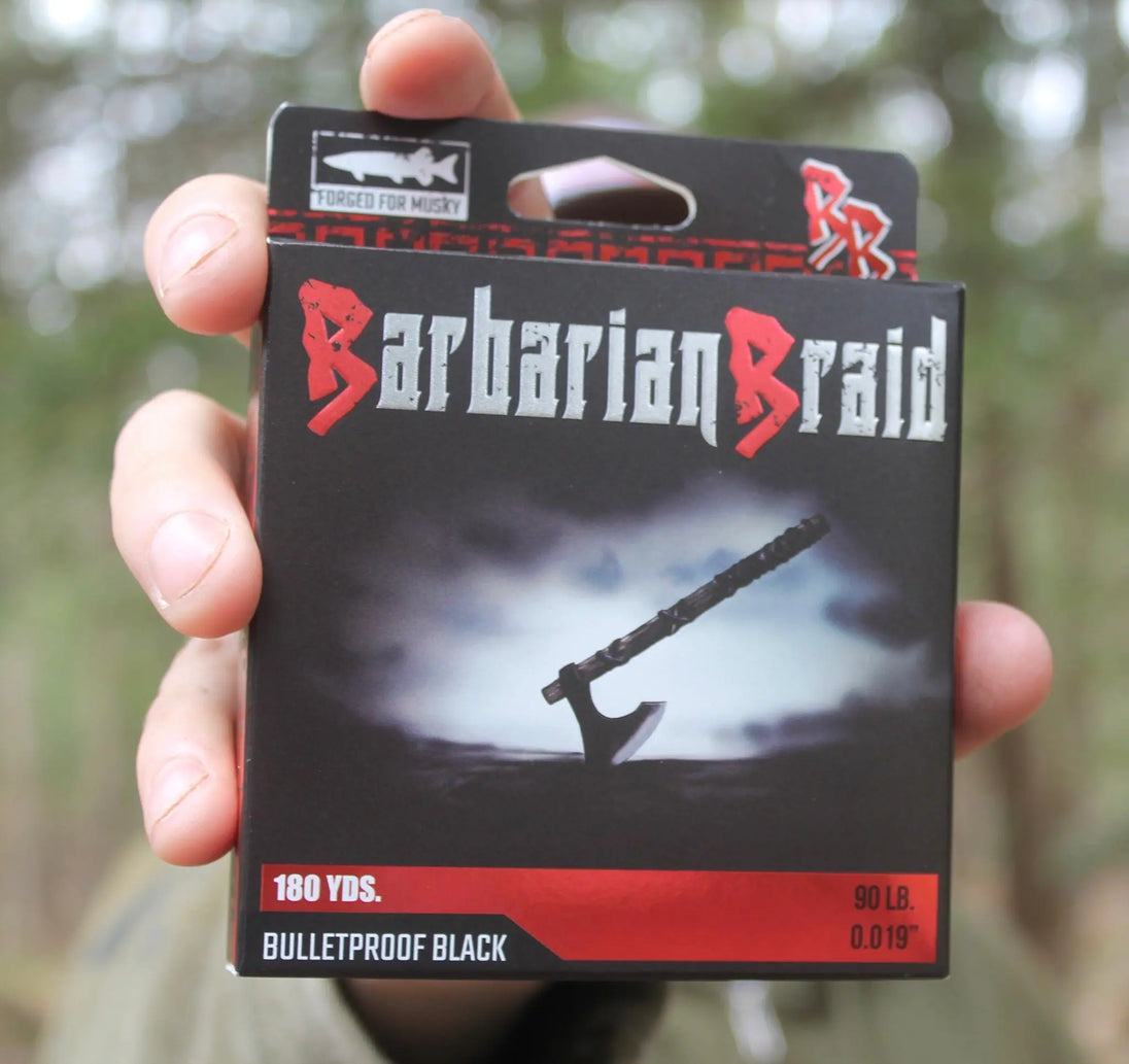 Barbarian Braid Being Held