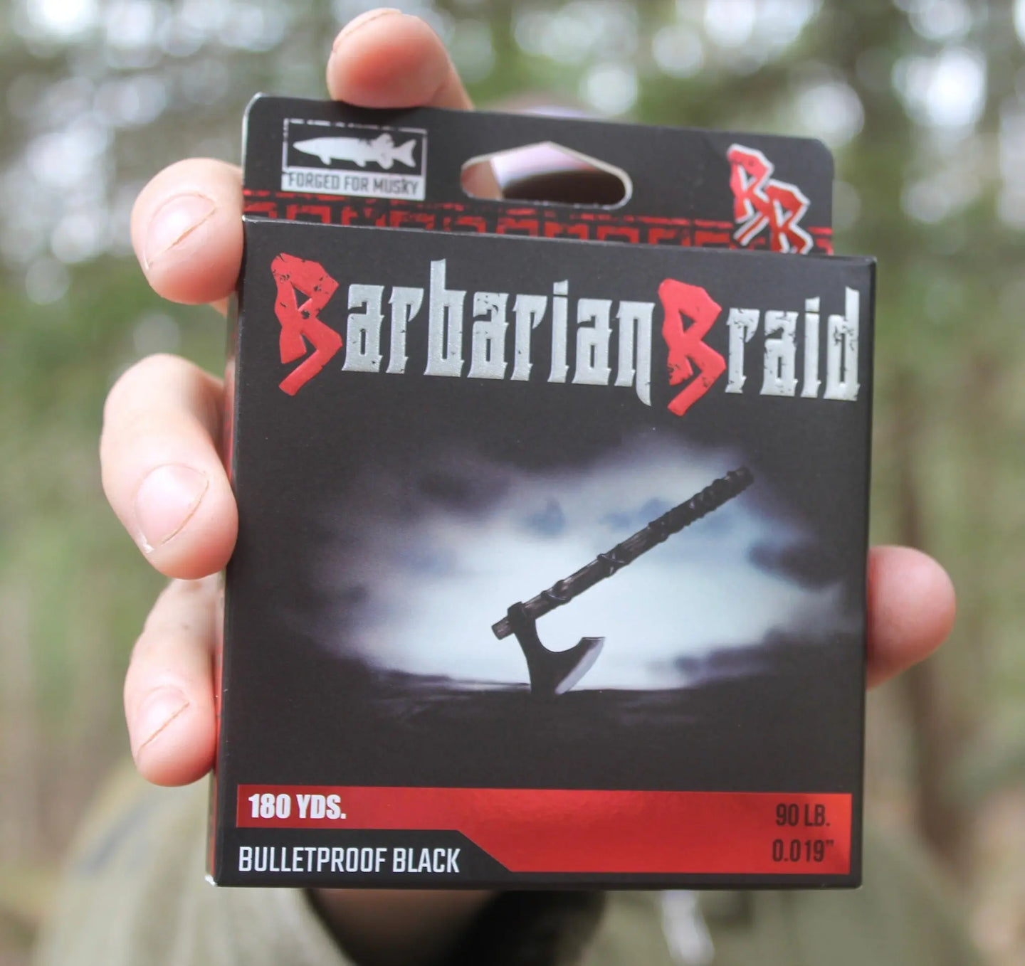 Barbarian Braid Being Held