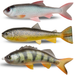 Pulz Bait Roach-Perch-Trout Skinz 3 pcs