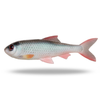 Pulz Bait Roach Skinz Natural Roach