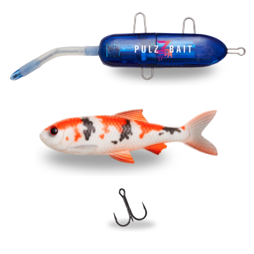 Pulz Bait Starter Kit Koi Carp