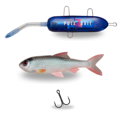Pulz Bait Starter Kit Natural Roach