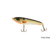 Skinny Wolf Jr. Froso Shad