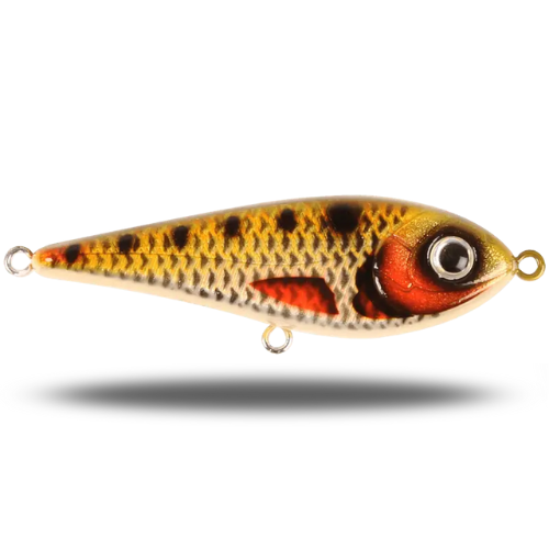 Strike Pro Tiny Buster Golden Ridgeback