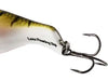 Westin BabyBite DR Crankbait Tail