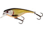 Westin BabyBite SR Crankbait Official Roach