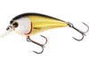Westin BassBite Squarebill Official Roach