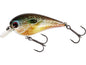 Westin BassBite Squarebill Real Pumpkinseed