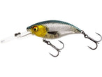 Westin BuzzBite Crankbait Westin