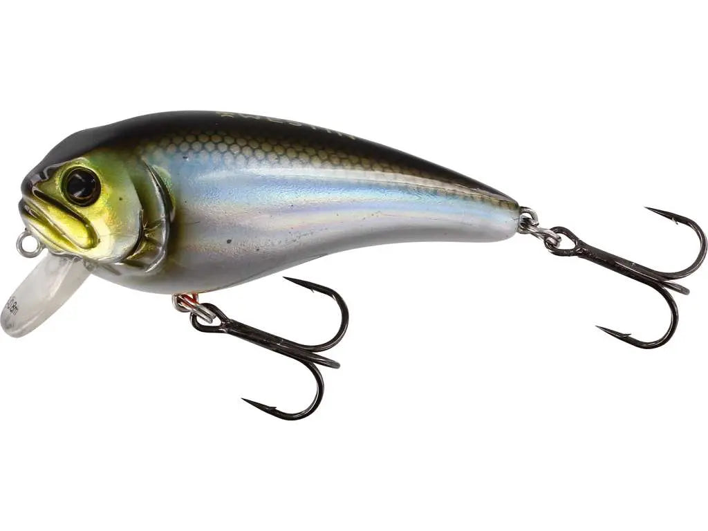 Westin FatBite Crankbait Blueback herring