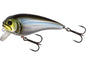 Westin FatBite Crankbait Blueback herring