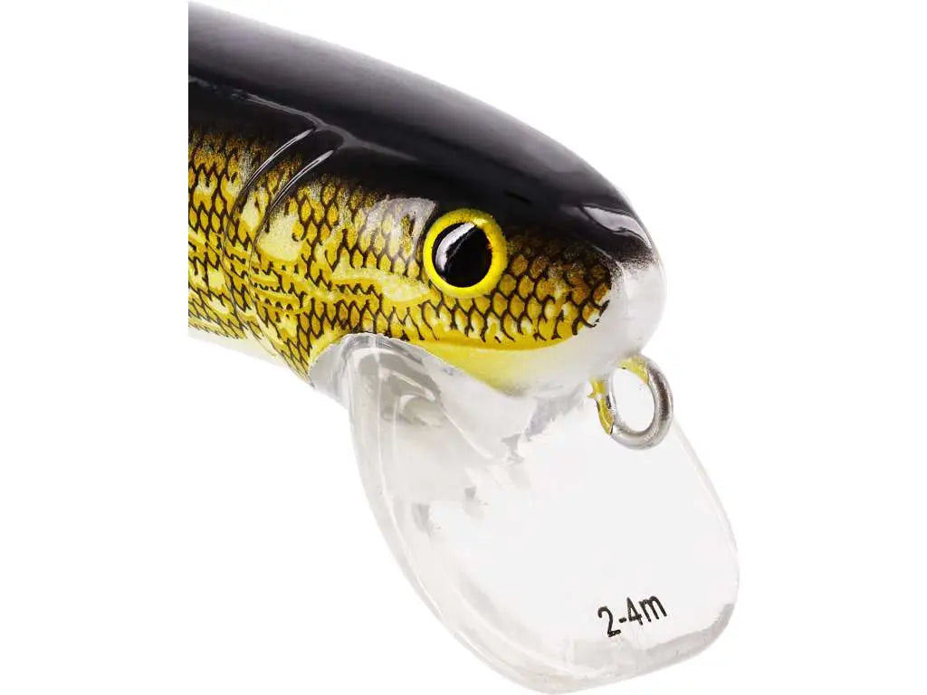 Westin Jatte Crank Bait Head