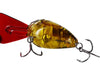 Westin MegaBite DR Crankbait Backside