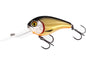 Westin MegaBite DR Crankbait Official Roach