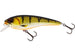 Westin RawBite Crankbait Bling Perch