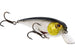 Westin RawBite Crankbait Jr. Westin