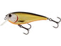 Westin RawBite Crankbait Jr. Official Roach