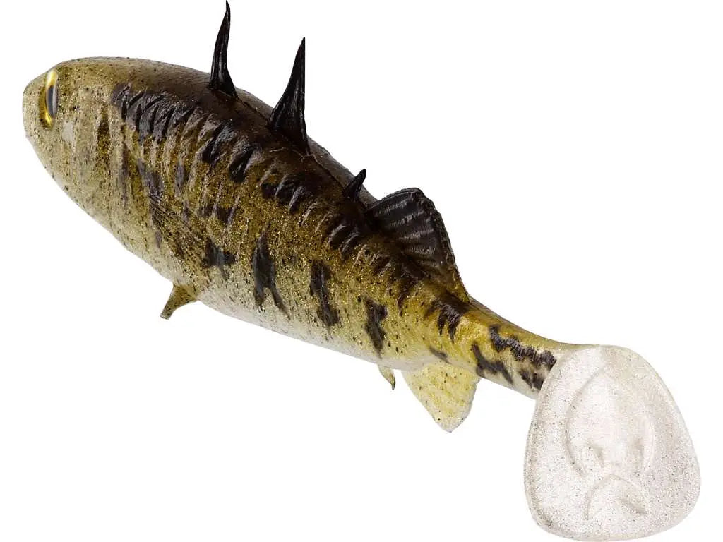 Westin Stanley the Stickleback Shadtail Rear View