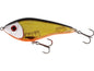 Westin Swim Glidebait Suspending Low Floating 3D Oficial Roach