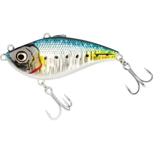Westin Buzzvibe Sardine