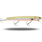 Westin Jatte Official Roach