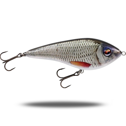 Westin Swim 10cm Real Roach