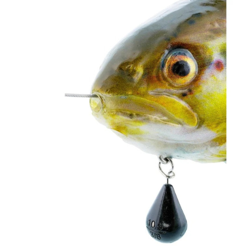 Westing Tommy The Trout Inline