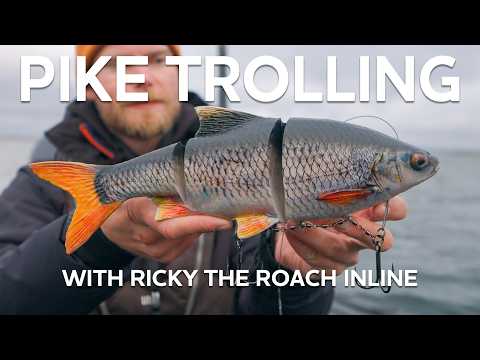 Trolling HyperRealistic Lures for Pike | Westin Fishing