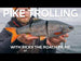 Trolling HyperRealistic Lures for Pike | Westin Fishing