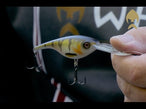Westin BabyBite DR Crankbait product video