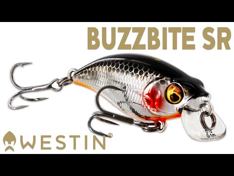Westin BuzzBite SR Crankbait product video