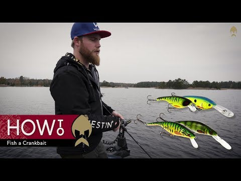 Westin FatBite Crankbait product video