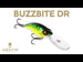 Westin BuzzBite DR Crankbait product video