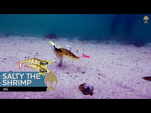 Westin Salty the Shrimp R'N R product video