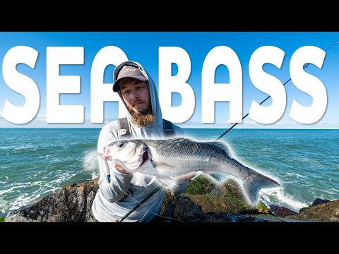 Westin Magic Minnow Weedless Jig product video