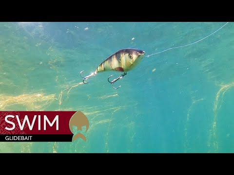 Westin Swim 12cm product video