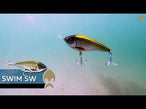 Westin Swim Salt Water product video