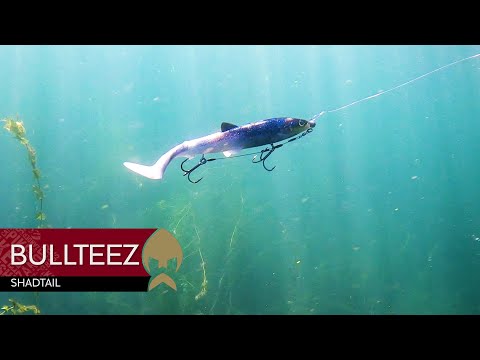 Westin BullTeez Shadtail product video