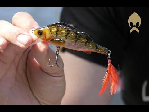 Westin Percy the Perch Crankbait product video