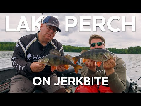 Westin Jerkbite SR product video