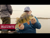 Westin BuzzBite Crankbait product video
