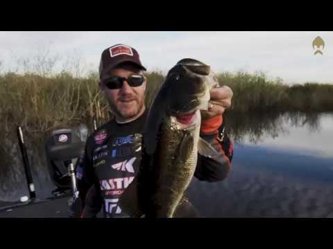 Westin RingTeez Curltail product video