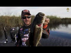 Westin RingTeez Curltail product video