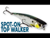 Westin Spot-On Top Walker product video